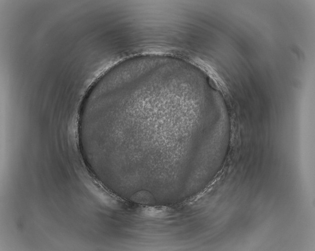 X0000111660346200907311142