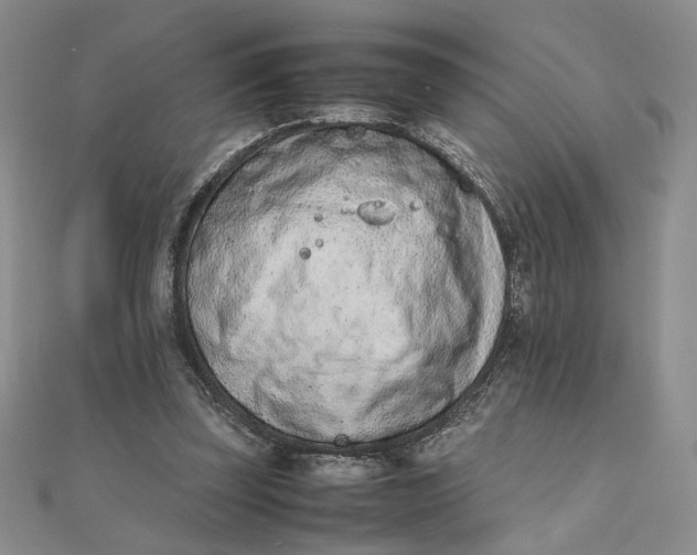 X0000111660347200907311142