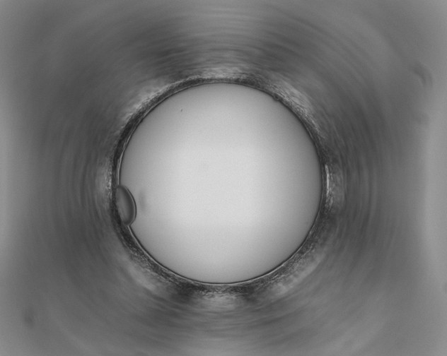 X0000111660348200907311143