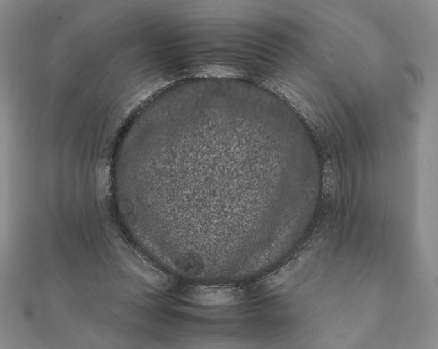 X0000111660351200907311143