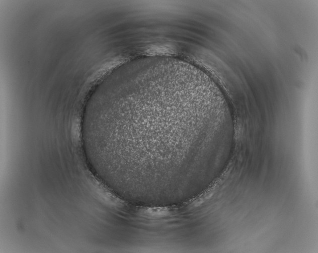 X0000111660353200907311143