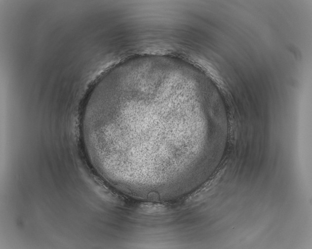 X0000111660354200907311143