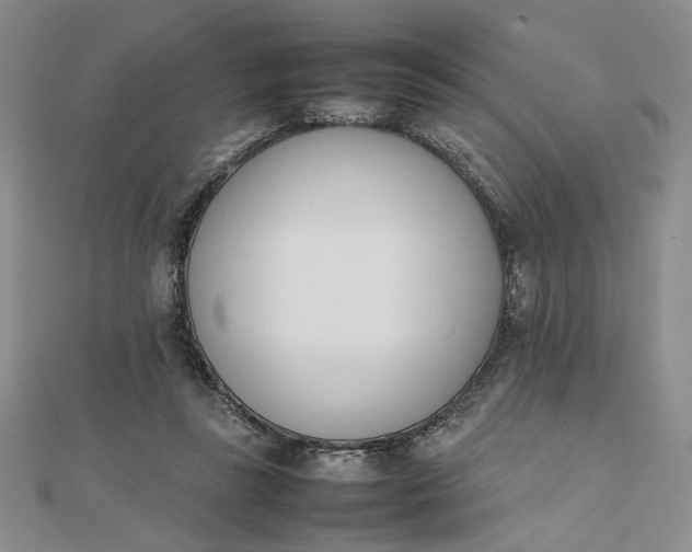 X0000111660355200907311143