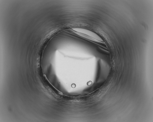 X0000111660356200907311143