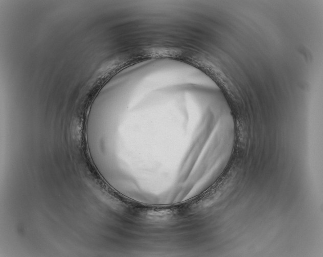 X0000111660357200907311143