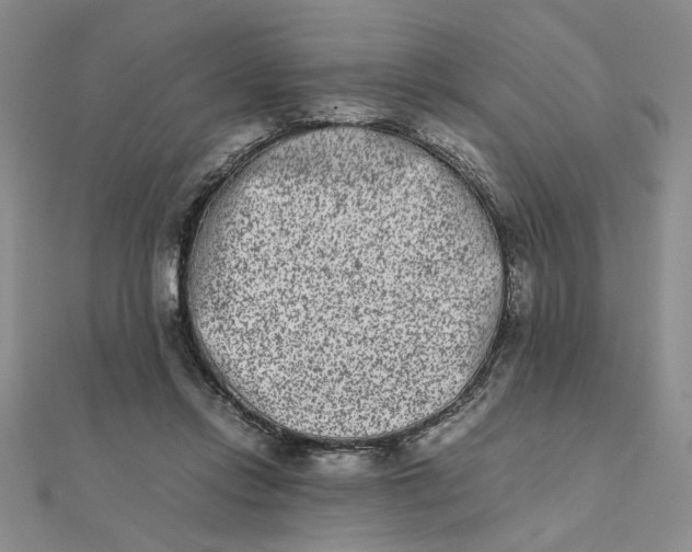 X0000111660358200907311143