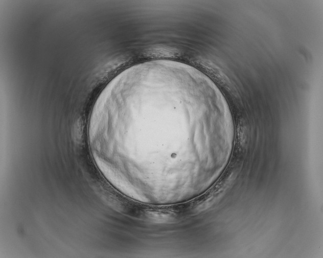 X0000111660359200907311143