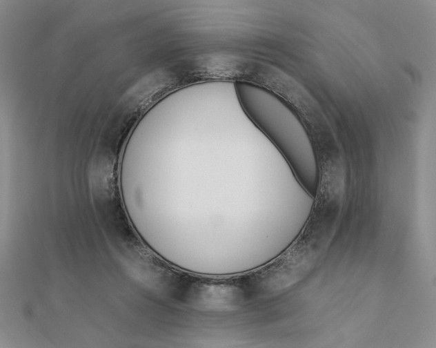 X0000111660360200907311143