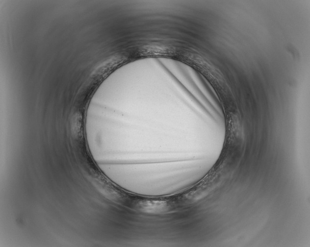 X0000111660361200907311143