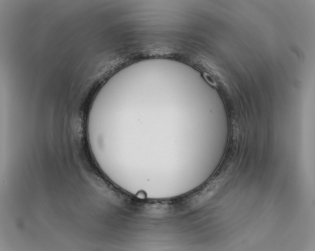 X0000111660362200907311143