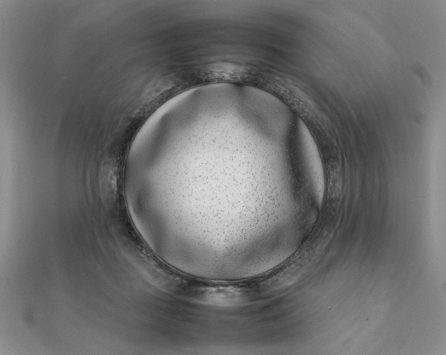 X0000111660363200907311143