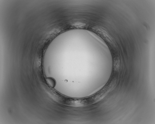 X0000111660365200907311143