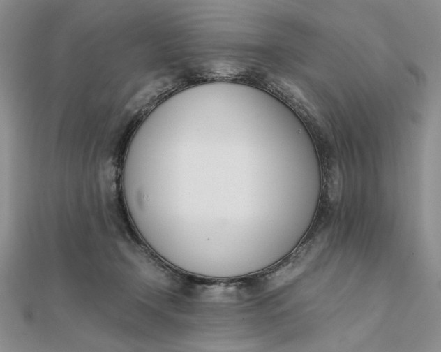 X0000111660366200907311143