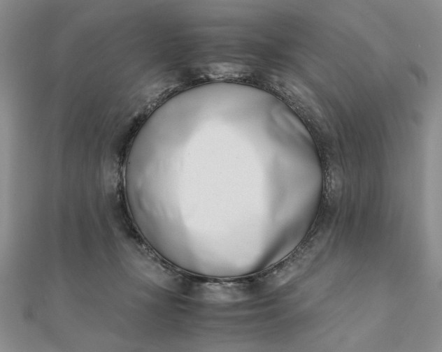 X0000111660367200907311143