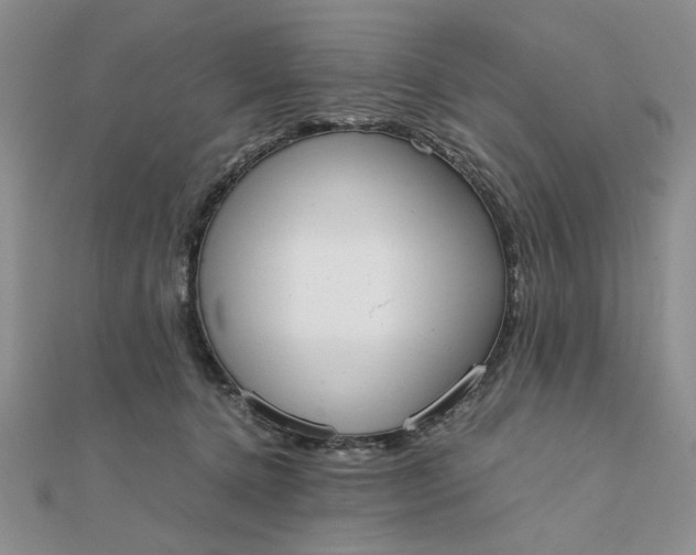 X0000111660368200907311143