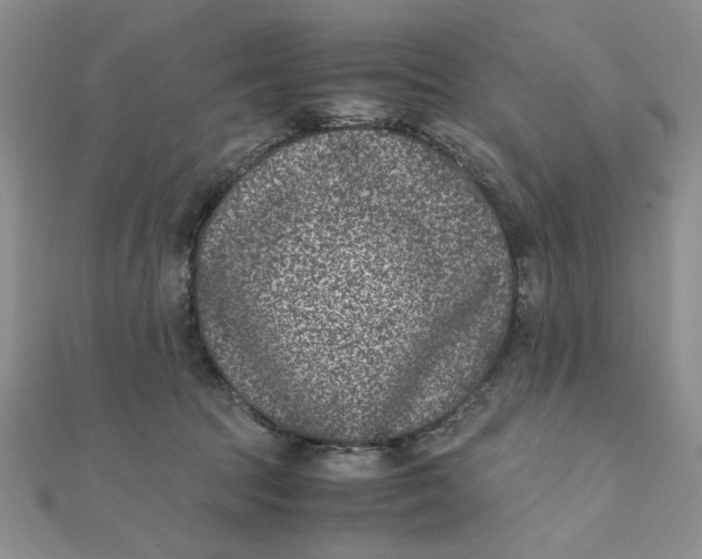 X0000111660369200907311143