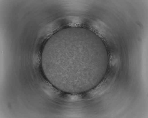 X0000111660370200907311143