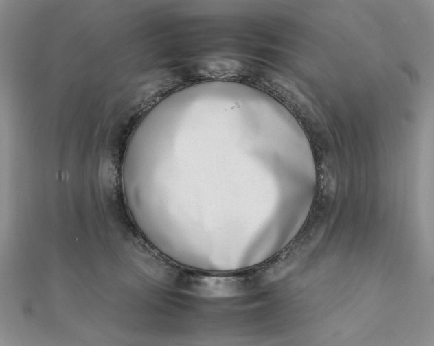 X0000111660371200907311143