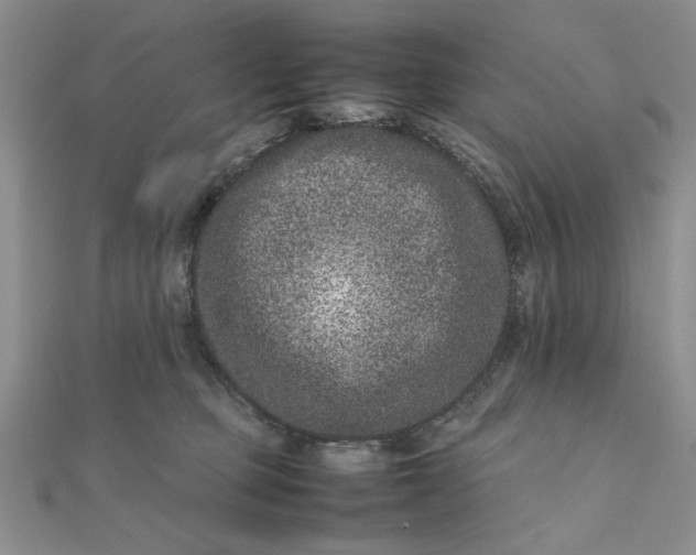 X0000111660373200907311143