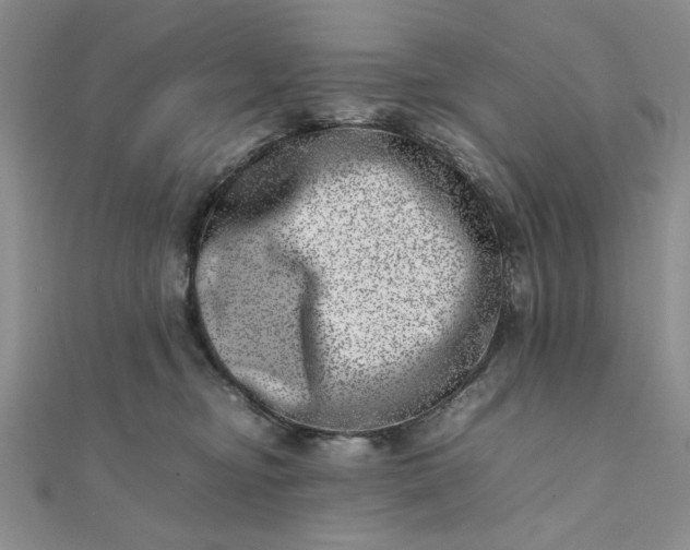 X0000111660374200907311143