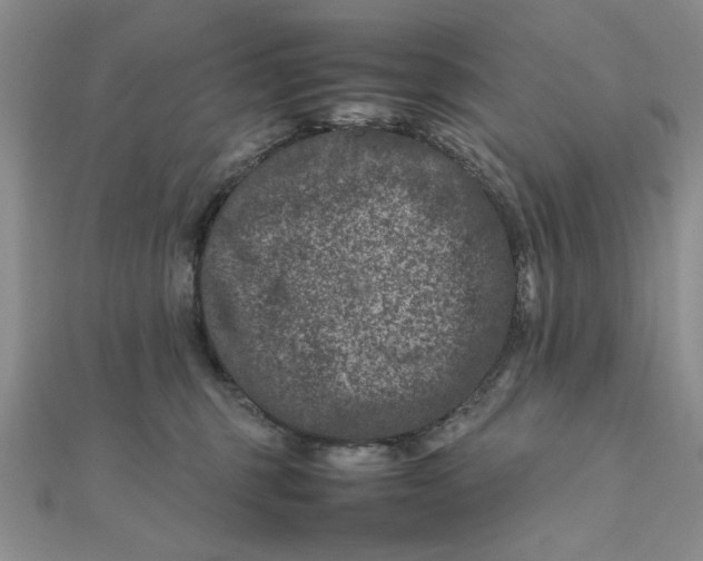 X0000111660375200907311143