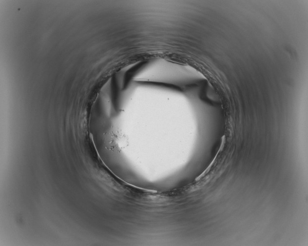 X0000111660376200907311143