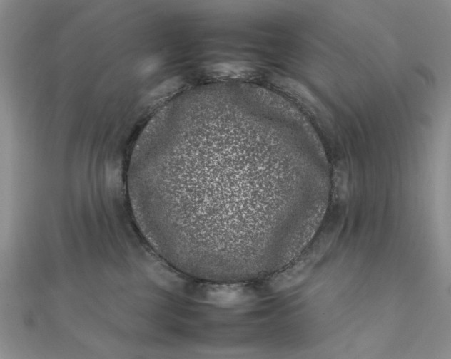 X0000111660377200907311143