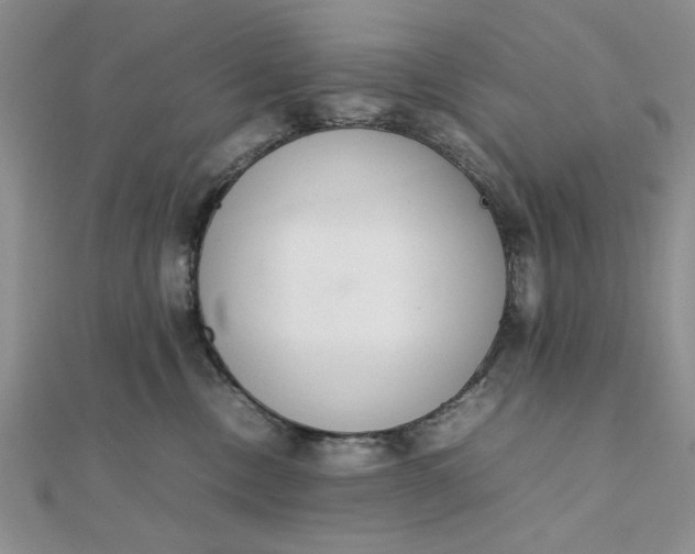 X0000111660378200907311143