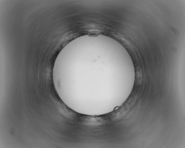 X0000111660379200907311143