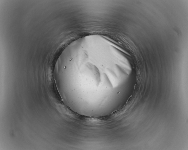 X0000111660380200907311143