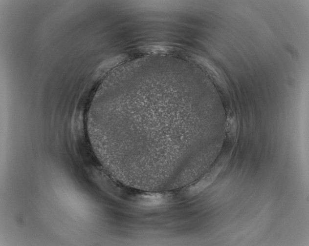 X0000111660381200907311143