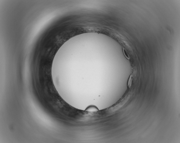 X0000111660382200907311143