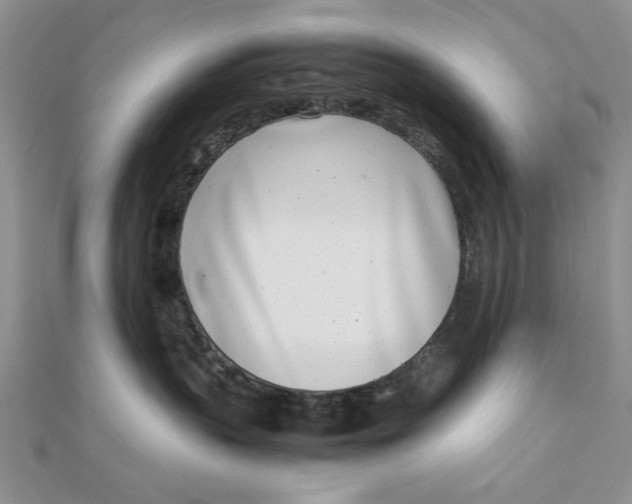 X0000111660383200907311143