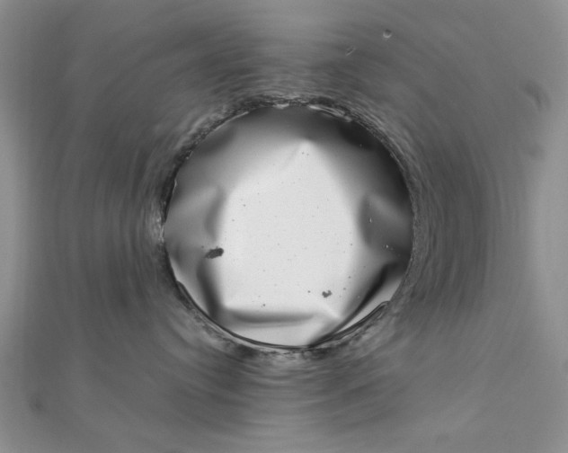 X0000111660384200907311143