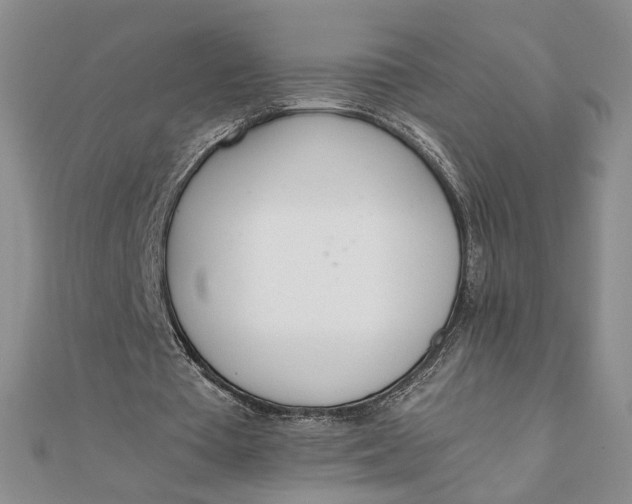 X0000111660385200907311142