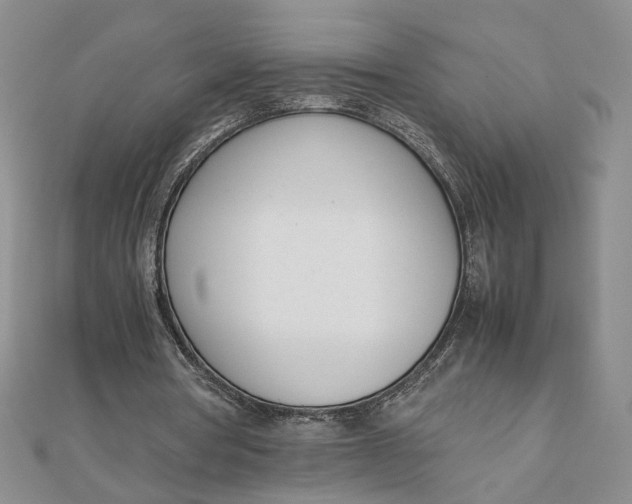 X0000111660386200907311142