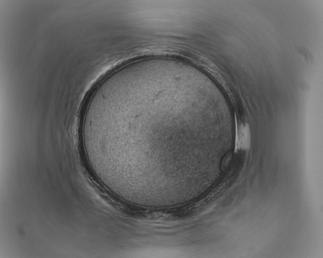 X0000111660387200907311142