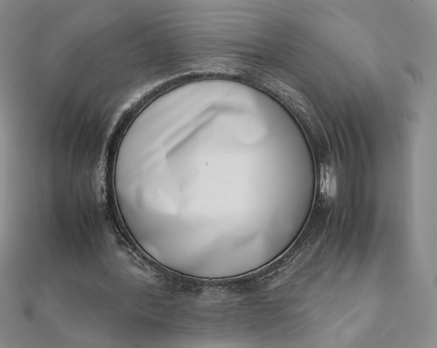 X0000111660388200907311142