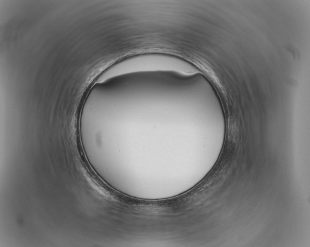 X0000111660389200907311142