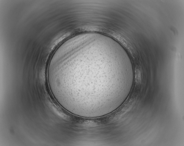 X0000111660390200907311142