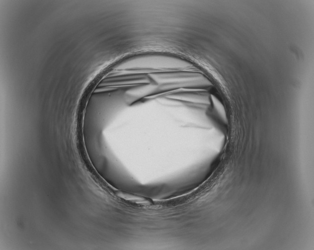 X0000111660391200907311142