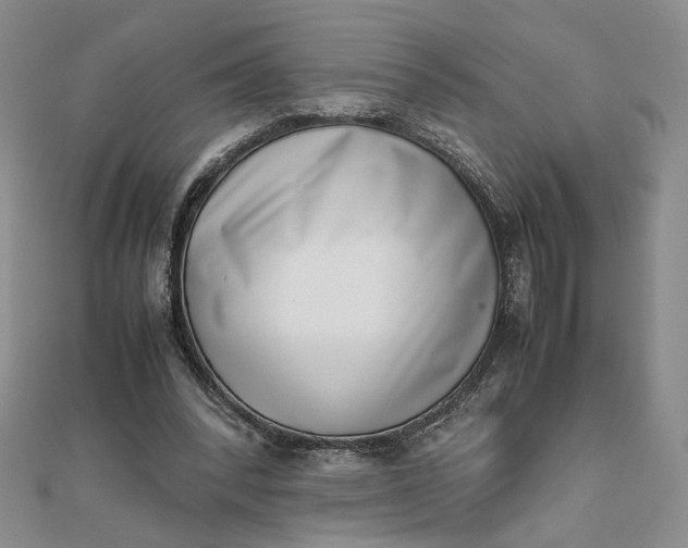 X0000111660392200907311142