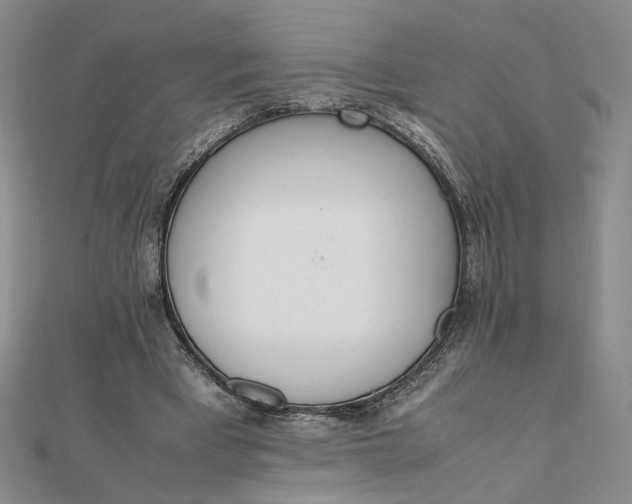 X0000111660393200907311142