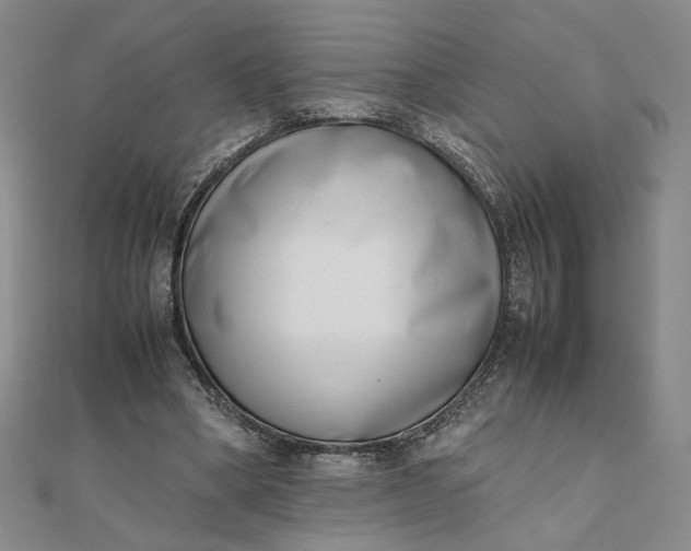 X0000111660394200907311142