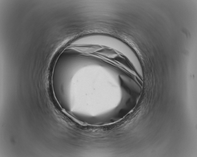 X0000111660395200907311142