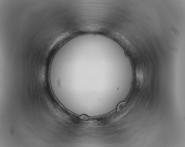 X0000111660396200907311142