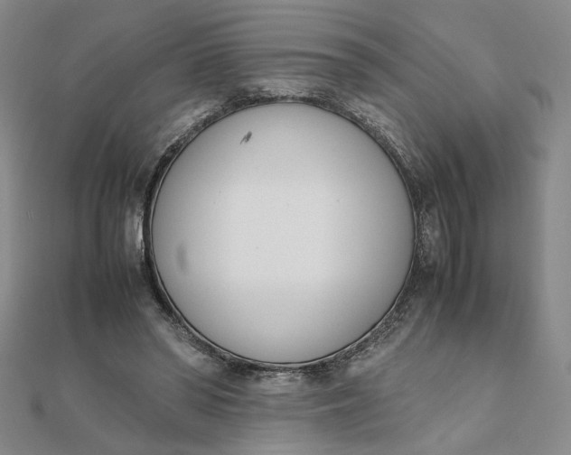 X0000111660398200907311142