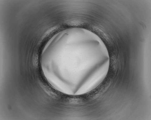 X0000111660400200907311142