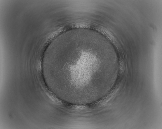 X0000111660401200907311142