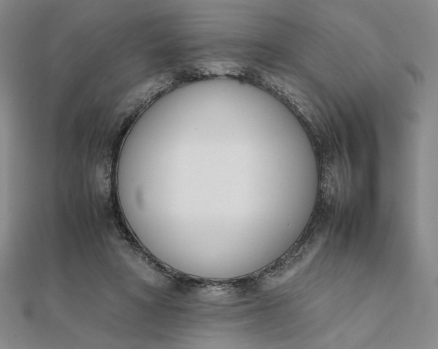 X0000111660402200907311142